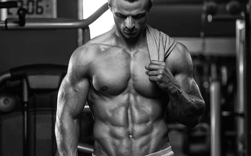 Die fünf Regeln für den Muskelaufbau