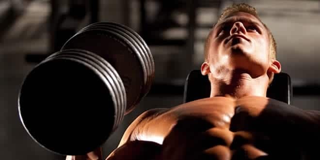 how to gain muscle mass in the chest