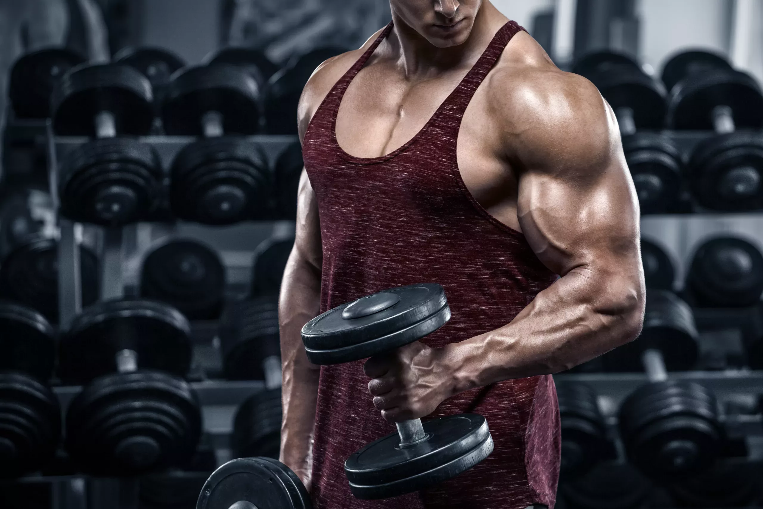 gymnasiumvirtual training biceps
