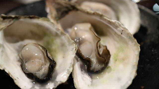 zinc oysters
