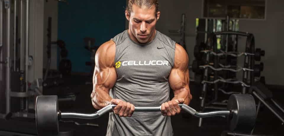 bicep curl one of the best exercises