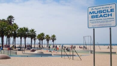 Photo of Os melhores suplementos para o verão