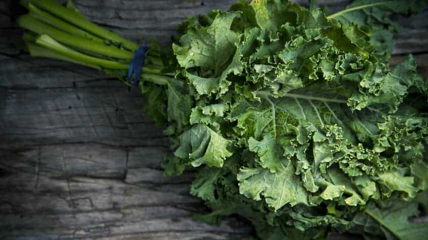 boerenkoolvoedsel rijk aan vitamine c