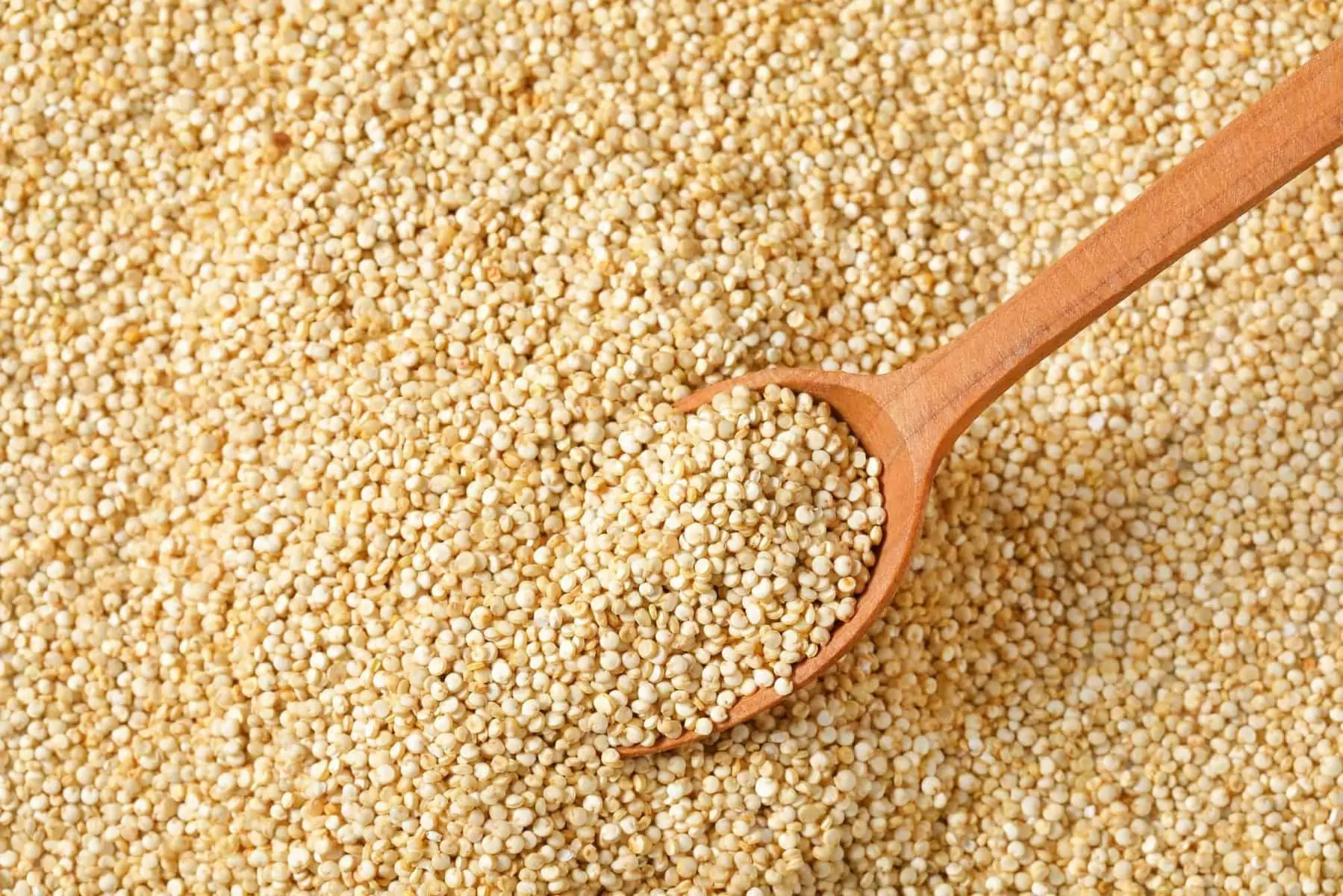 quinoa magnésium