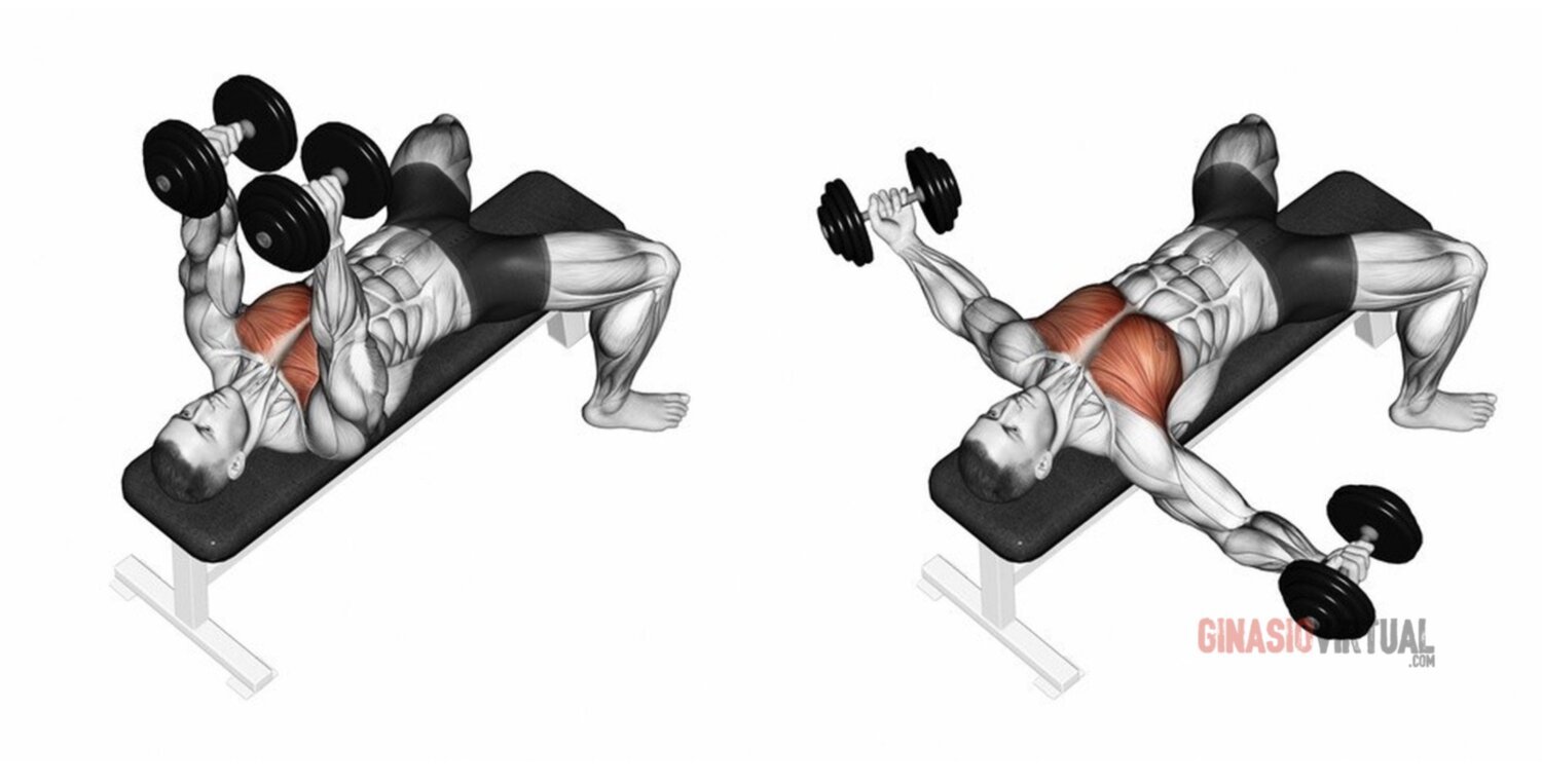 chest exercise with dumbbells