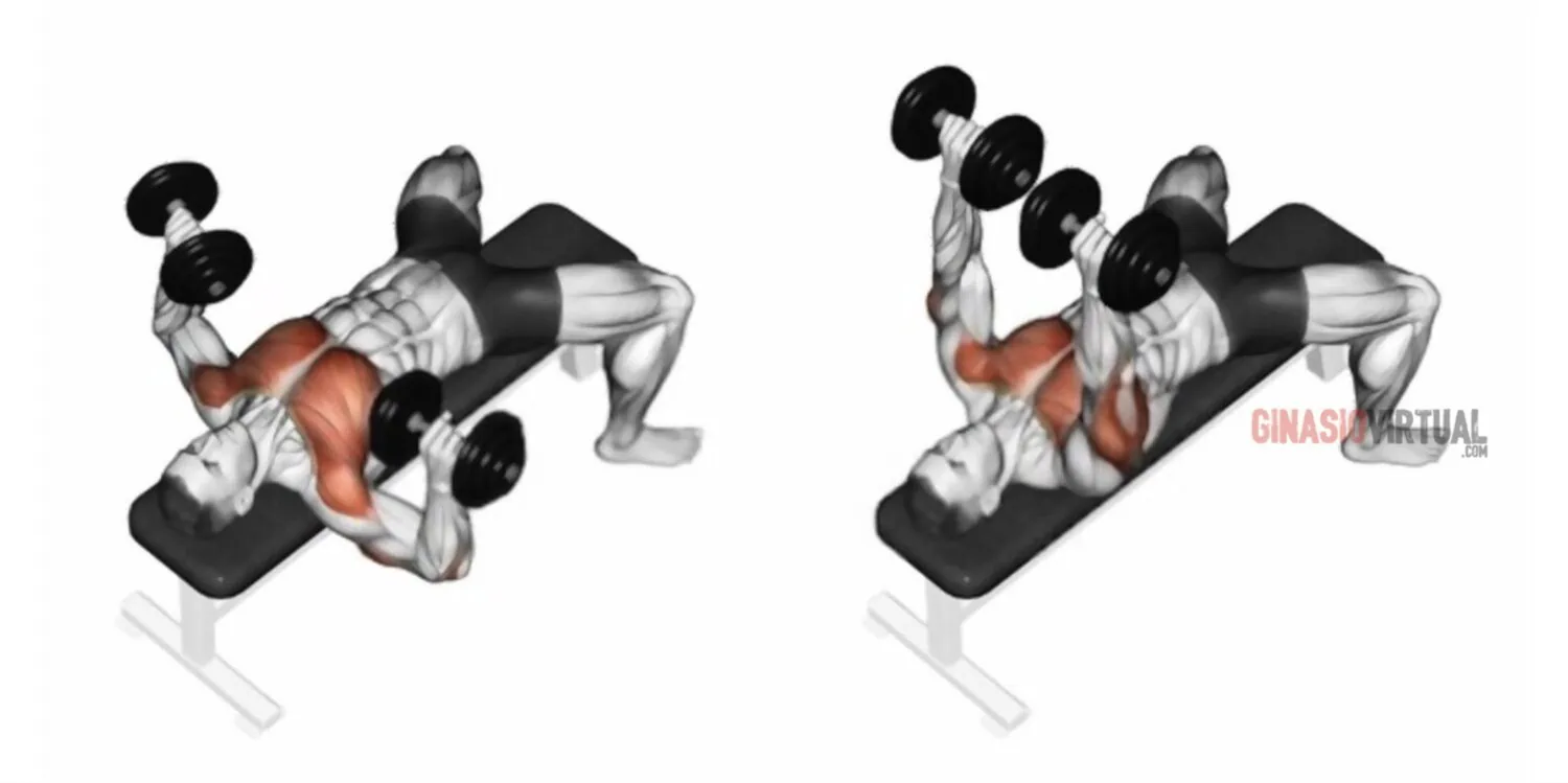 Ejercicios para discount pecho con dumbbells