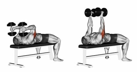 lying dumbbell extension