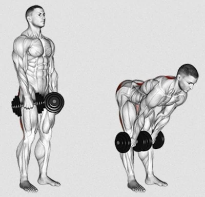 deadlift with straight legs