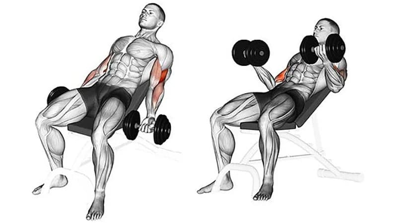 Inclined bicep curl