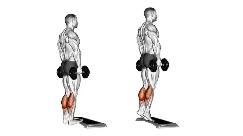 Standing calf extension with dumbbells