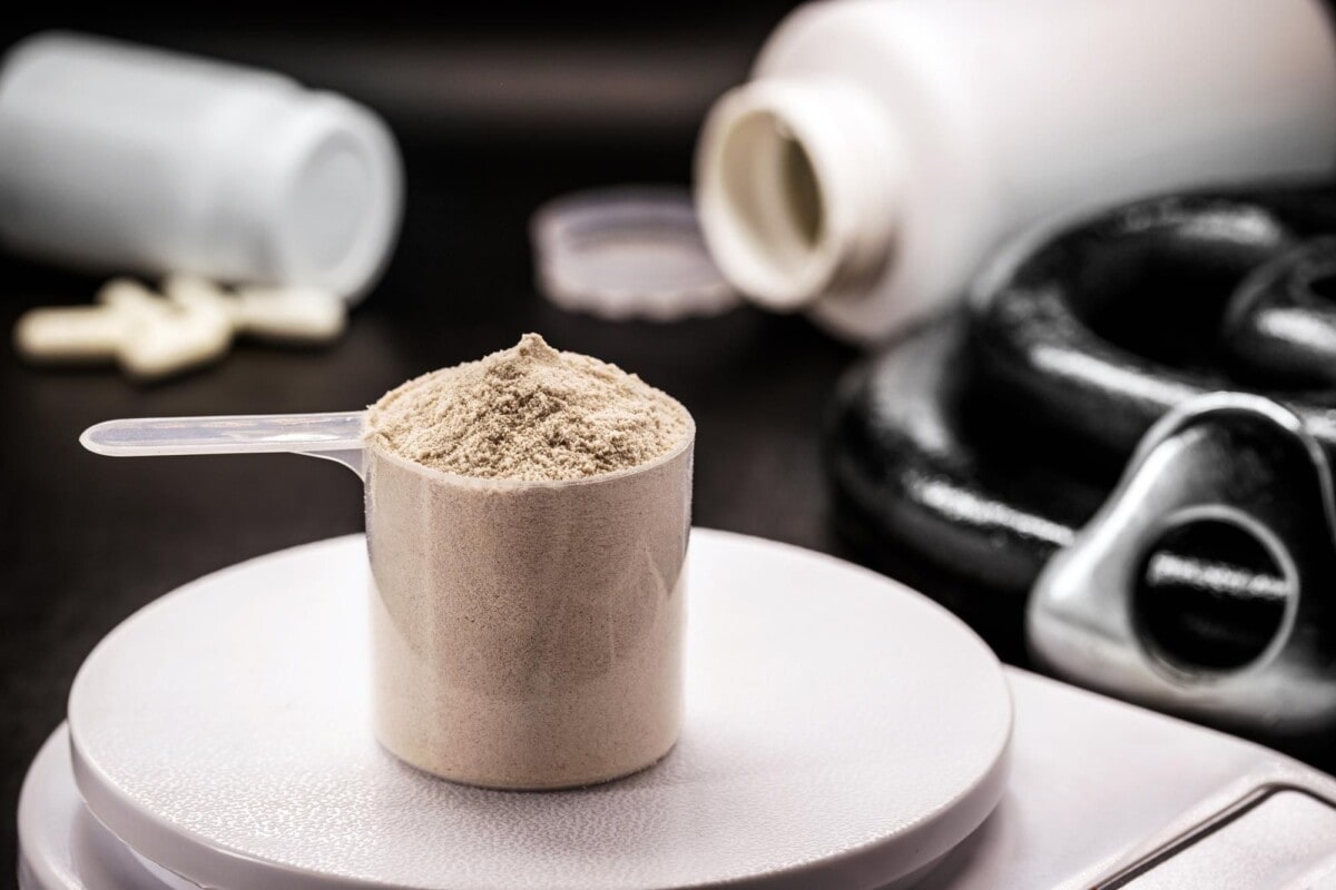 glutamine powder gym